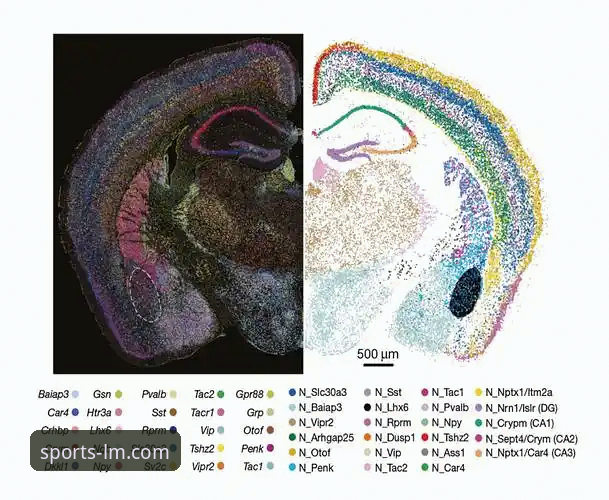 揭秘阿坎吉处子球背后的数据密码：一场5-0大胜的战术切片与观赛新维度
